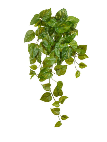 Искусственное растение Потос Ауреум ампельный