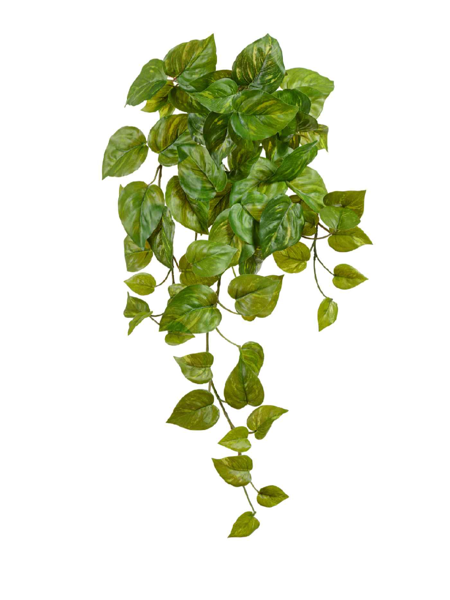 Искусственное растение Потос Ауреум ампельный Искусственное растение Потос Ауреум ампельный