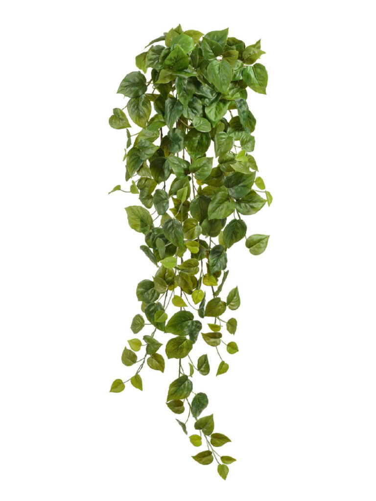 Искусственное растение Филодендрон Сканденс ампельный