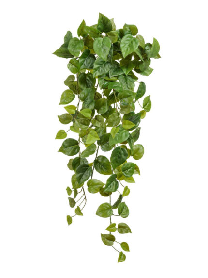 Искусственное растение Филодендрон Сканденс ампельный