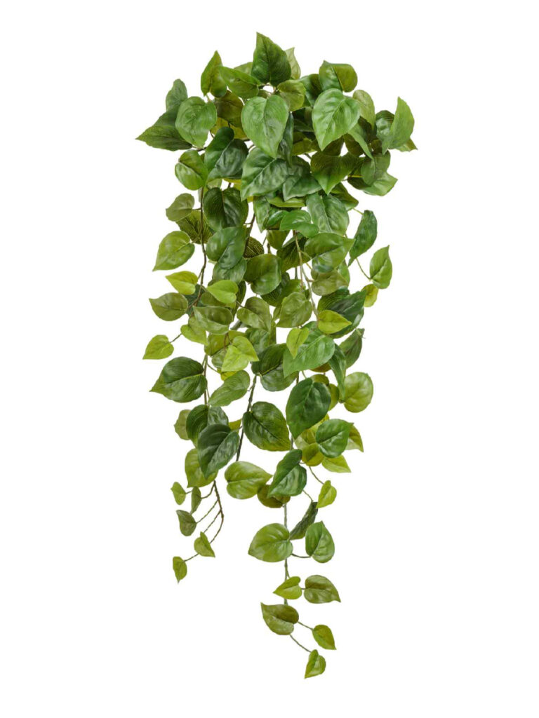 Искусственное растение Филодендрон Сканденс ампельный