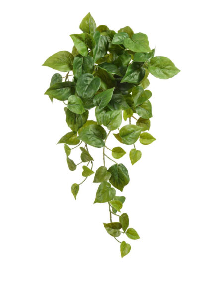 Искусственное растение Филодендрон Сканденс ампельный