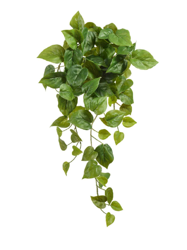 Искусственное растение Филодендрон Сканденс ампельный