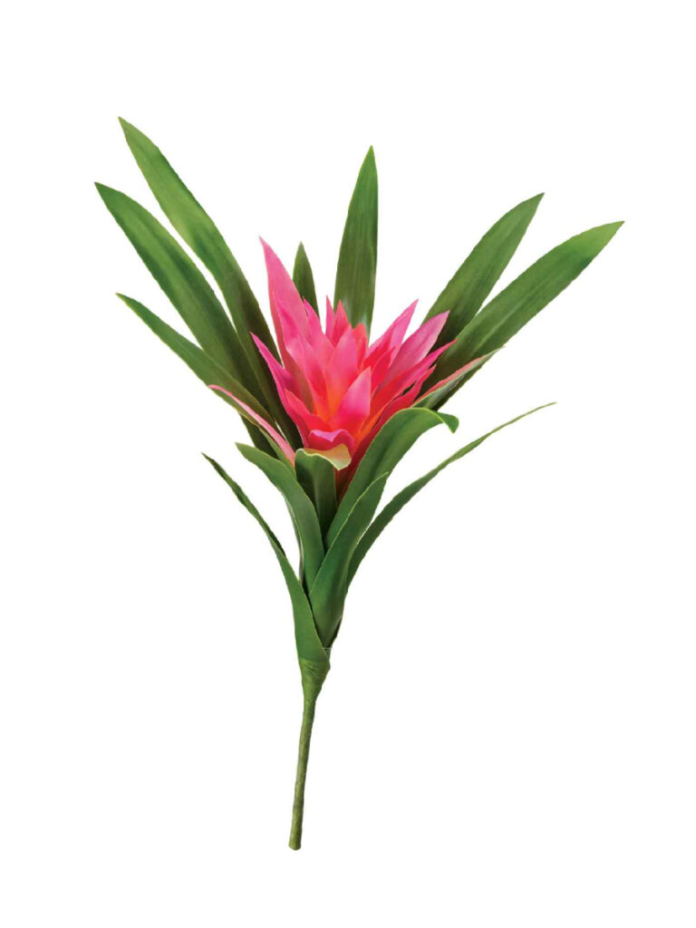 Искусственное растение Гусмания Элегант тёмно-розовая