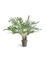 Искусственное растение Папоротник Рэббит Фут в керамическом кашпо, Treez 20.0624241N