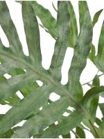 Искусственное растение Папоротник Рэббит Фут в керамическом кашпо, Treez 20.0624241N — изображение 2