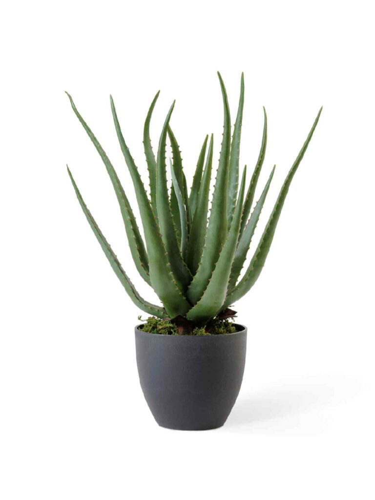 Искусственное растение Алоэ куст в горшке