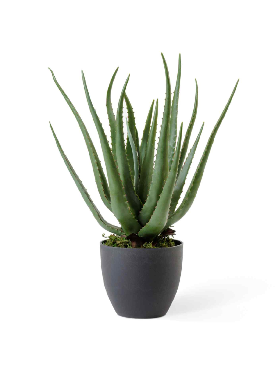 Искусственное растение Алоэ куст в горшке Искусственное растение Алоэ куст в горшке