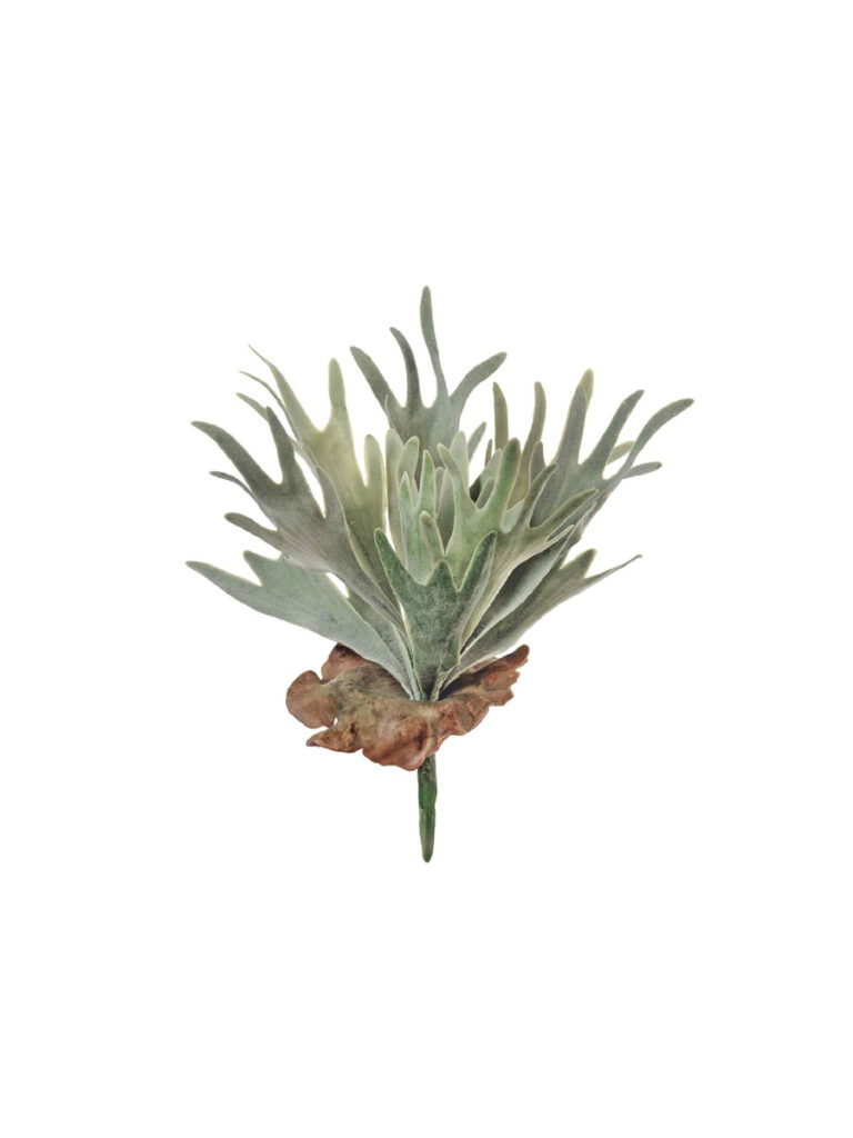 Искусственное растение Папоротник Стегхорн (Оленьи рога) куст