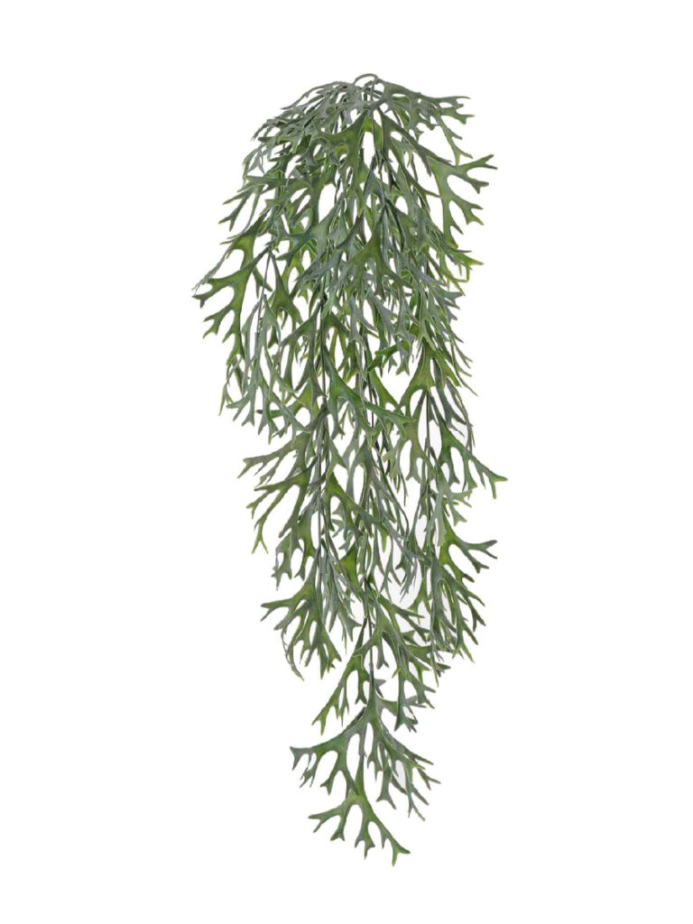 Искусственное растение Стегхорн (Оленьи рога) куст ампельный