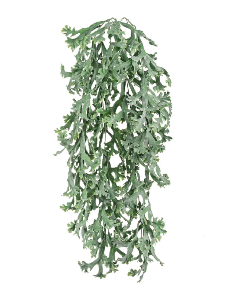 Искусственное растение Стегхорн Хилии (Оленьи рога) куст ампельный