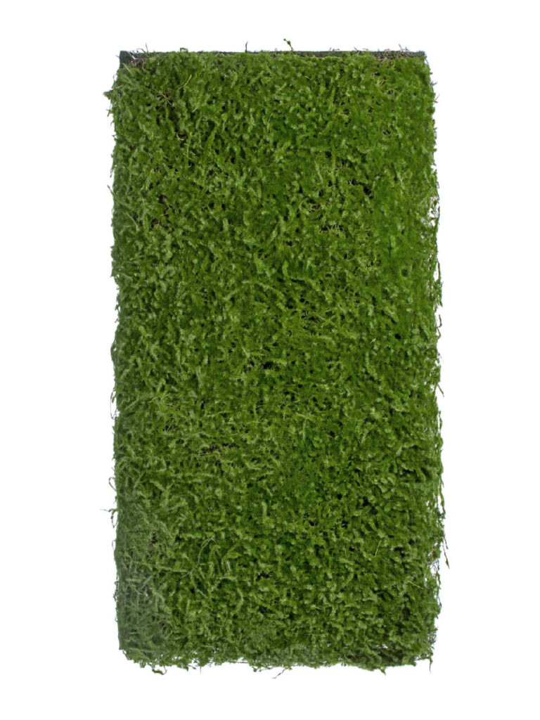 Искусственное растение Мох Сфагнум (полотно)