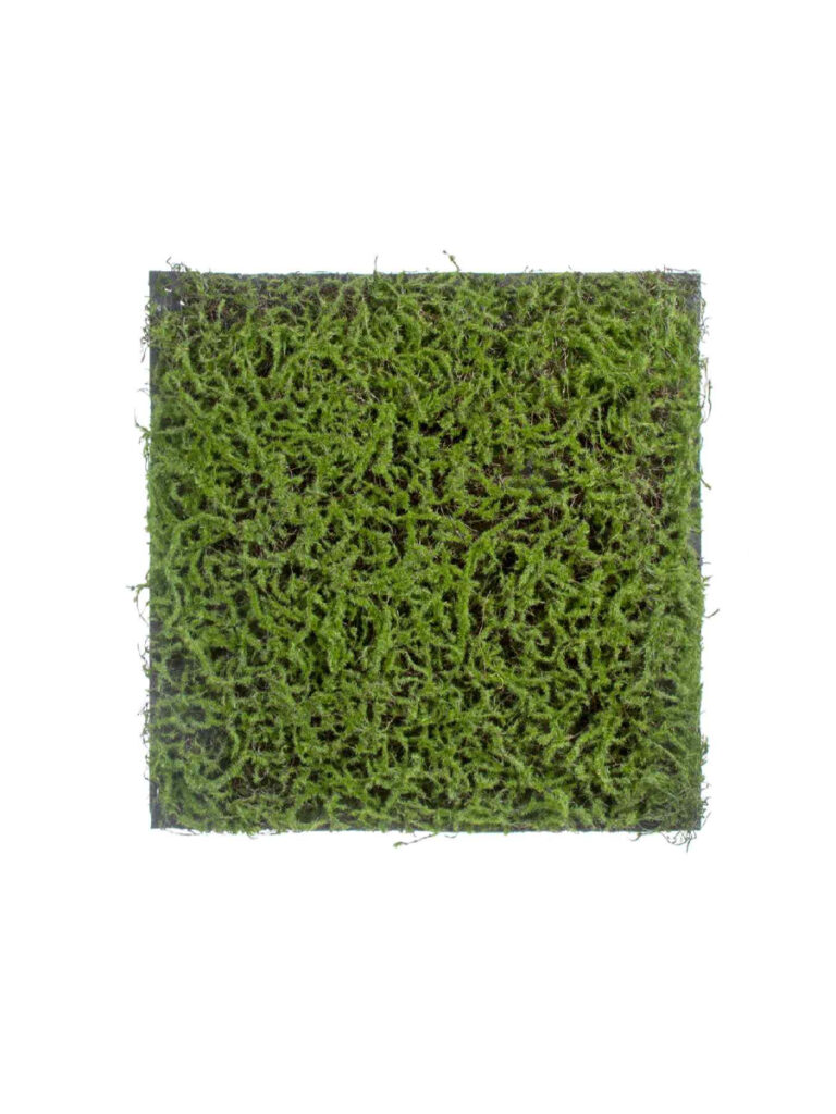 Искусственное растение Мох Сфагнум Fuscum зелёный (полотно)