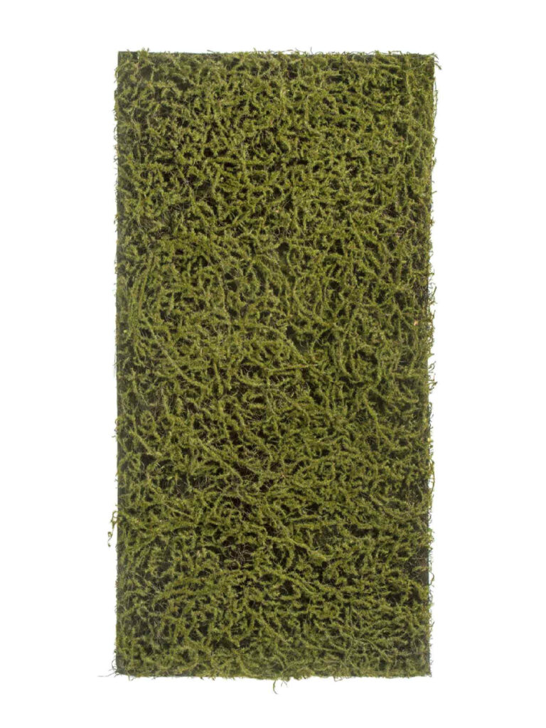 Искусственное растение Мох Сфагнум Fuscum тёплый зелёный (полотно среднее)