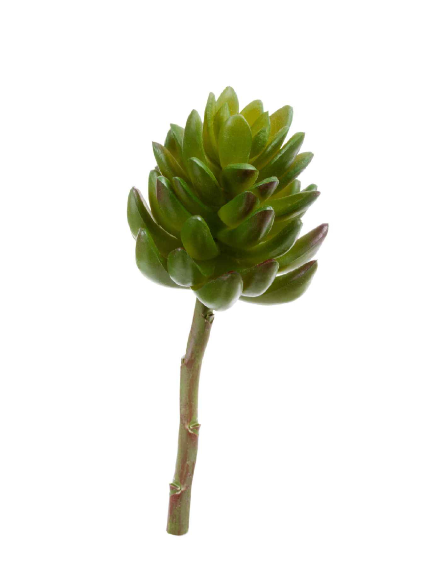 20.091818N Искусственные цветы Суккулент Синокрассула большая зелёная, Treez 20.091818N — изображение 1