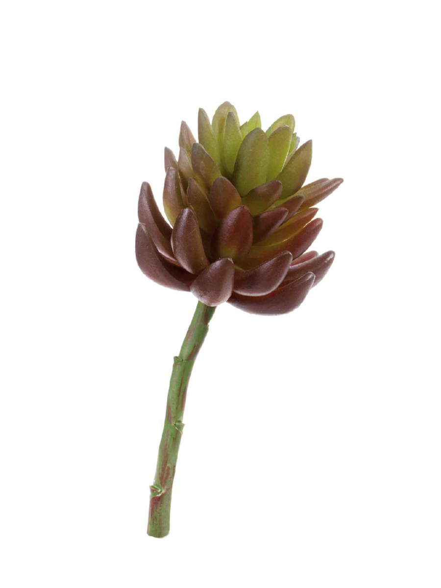 20.091818RG Искусственные цветы Суккулент Синокрассула большая зелёная, Treez 20.091818RG — изображение 1