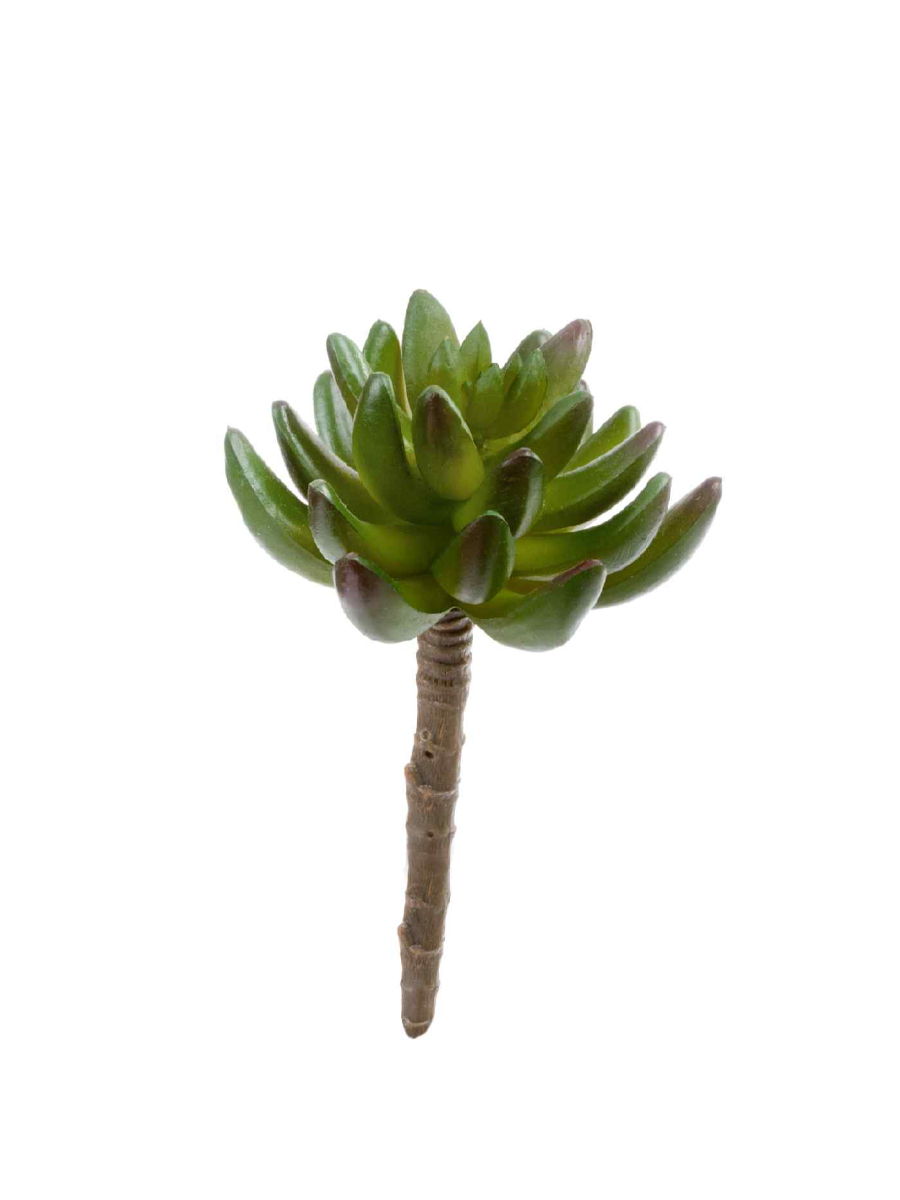 20.091819N Искусственные цветы Суккулент Синокрассула зелёная, Treez 20.091819N — изображение 1