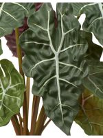 Искусственное растение Алоказия куст, Treez 20.1008N — изображение 2