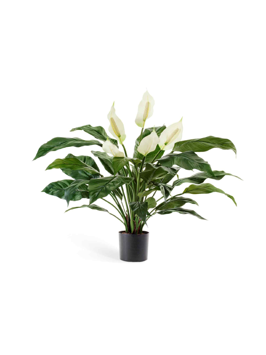 Искусственное растение Спацифилум в горшке Искусственное растение Спацифилум в горшке