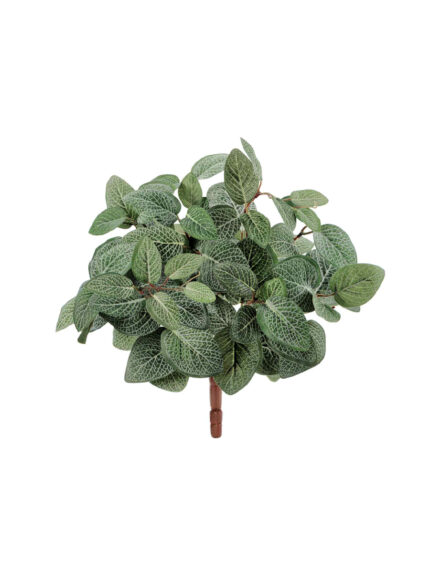 Искусственное растение Тини Фиттония Сноу