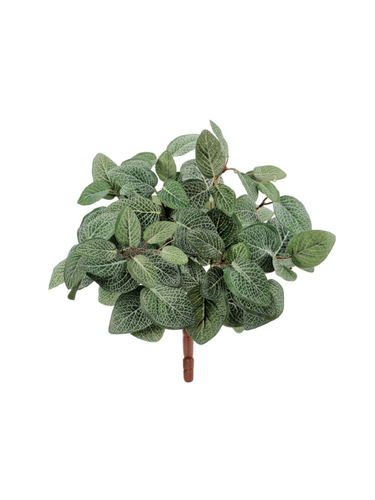 Искусственное растение Тини Фиттония Сноу