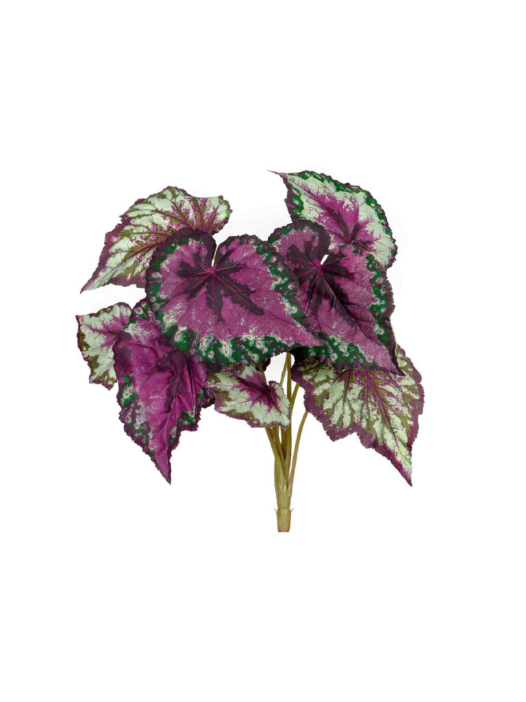 Искусственное растение Бегония крупнолистная зелёно-бордовая