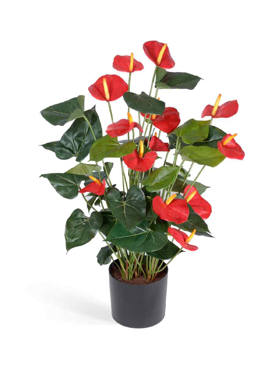 20.1109R Искусственное растение Антуриум Де Люкс большой куст красный в кашпо, Treez 20.1109R — изображение 1