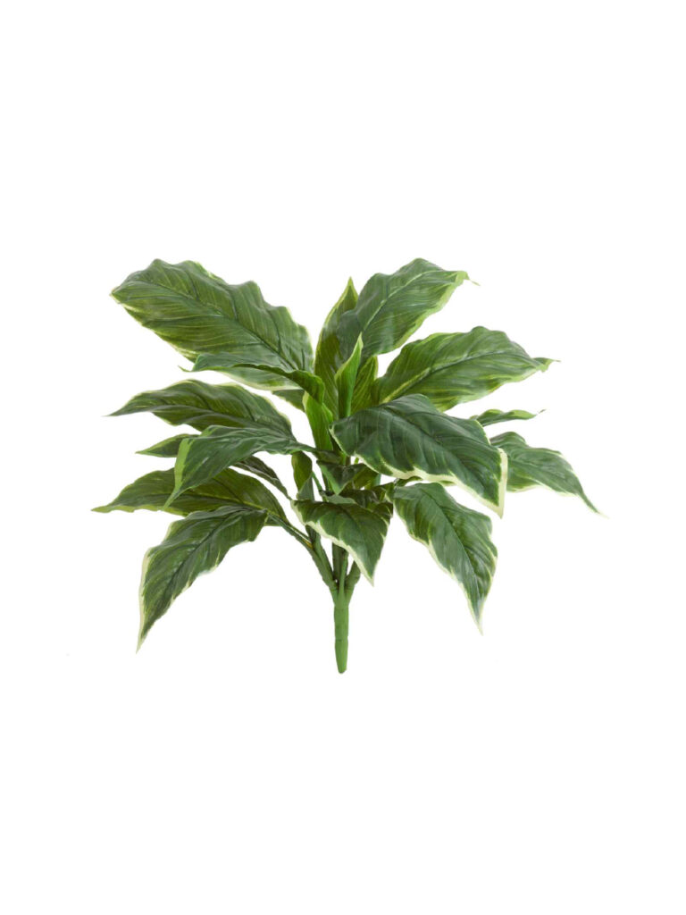 Искусственное растение Хоста Соу Свит зелёная с белой каймой (Sensitive Botanic)