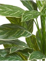 Искусственное растение Аглаонема Страйпс куст большой бело-зелёный, Treez 20.1157N — изображение 2