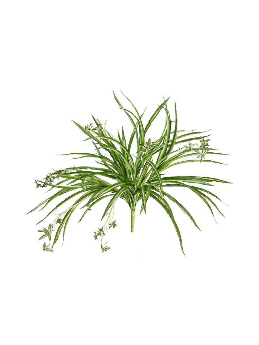 Искусственное растение Хлорофитум бело-зелёный куст с ростками Искусственное растение Хлорофитум бело-зелёный куст с ростками