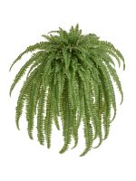 Искусственное растение Папоротник Бостон Новый свисающий Биг, Treez 20.1375N