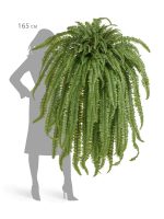 Искусственное растение Папоротник Бостон Новый свисающий Гигант, Treez 20.1376N — изображение 2