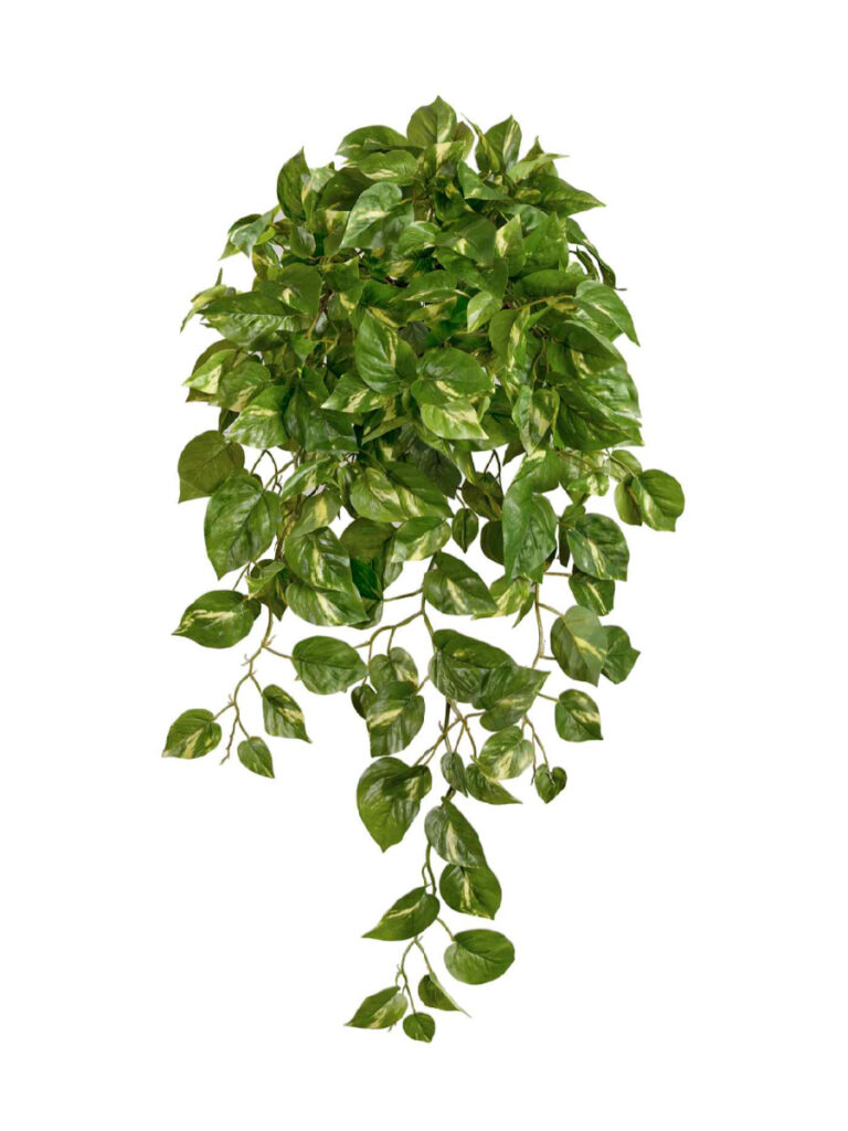Искусственное растение Потос Элегант ампельный большой новый