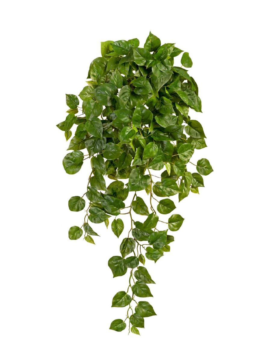 Искусственное растение Филодендрон Элегант ампельный большой новый Искусственное растение Филодендрон Элегант ампельный большой новый