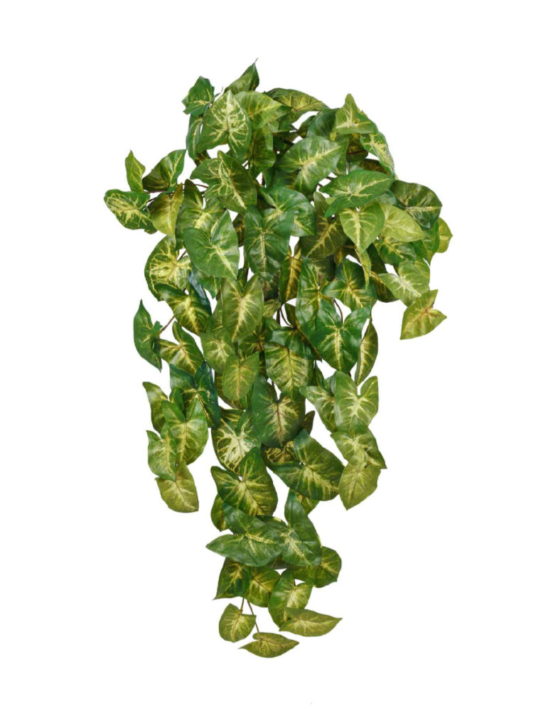 Искусственное растение Сингониум ампельный куст