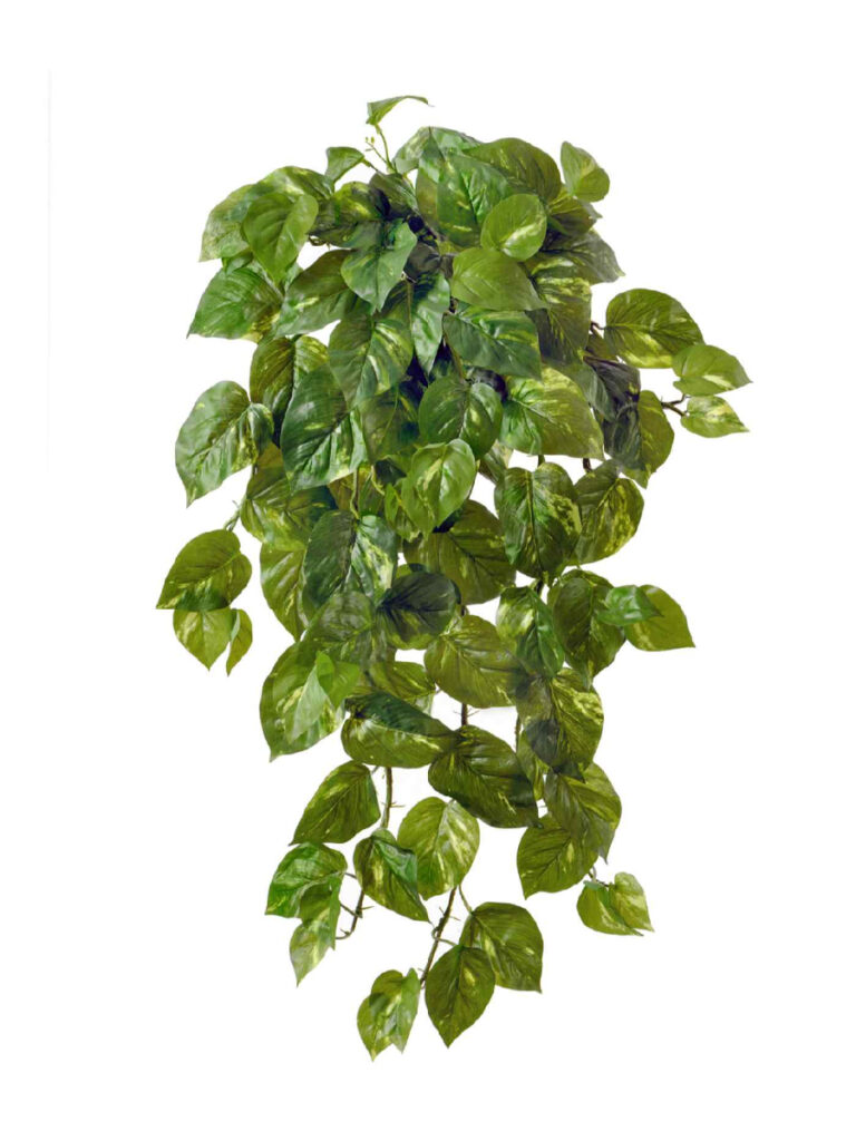 Искусственное растение Потос крупнолистный ампельный большой