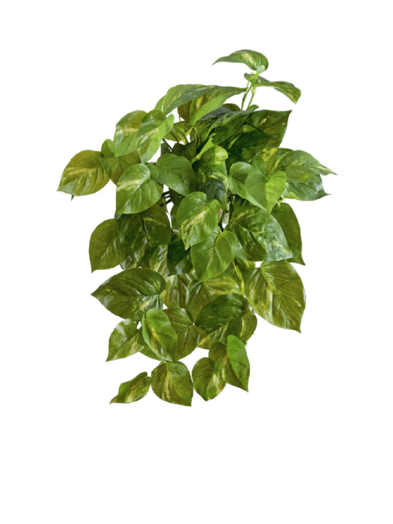 Искусственное растение Потос крупнолистный ампельный малый