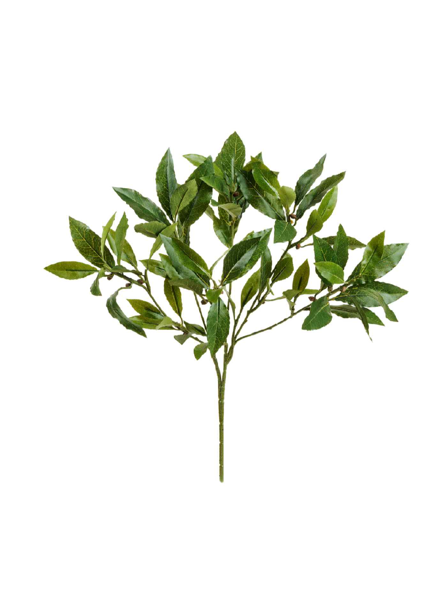20.1610N Искусственные цветы Ветка лавра 45 см, Treez 20.1610N — изображение 1