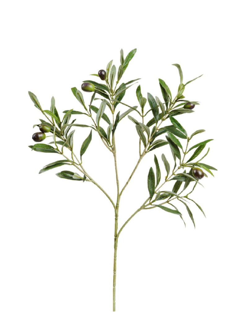Искусственное растение Ветка оливы натуральной с плодами