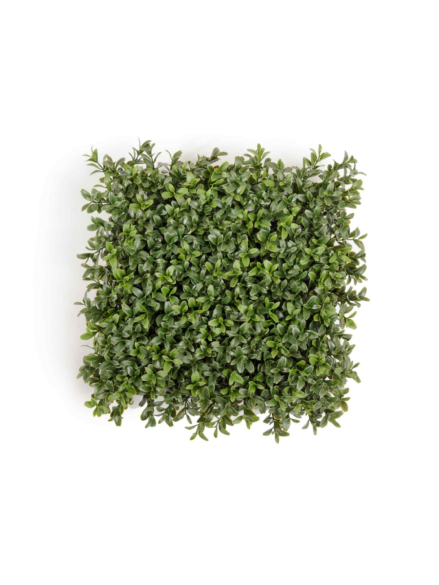 Искусственное растение Коврик Самшитовый Новый (пластик) Искусственное растение Коврик Самшитовый Новый (пластик)