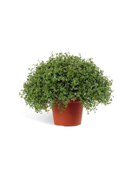 Искусственное растение Рясковый мох в горшочке