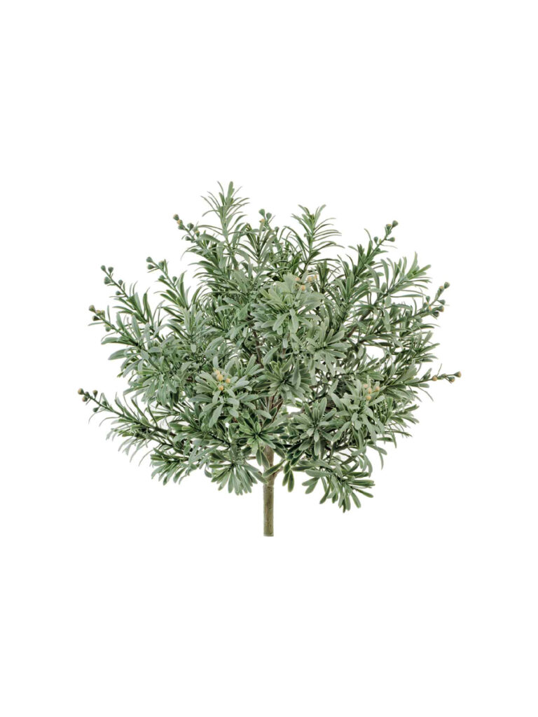 Искусственное растение Кроссостефиум (Миллер) серо-зелёный куст со св.лимон.завязями