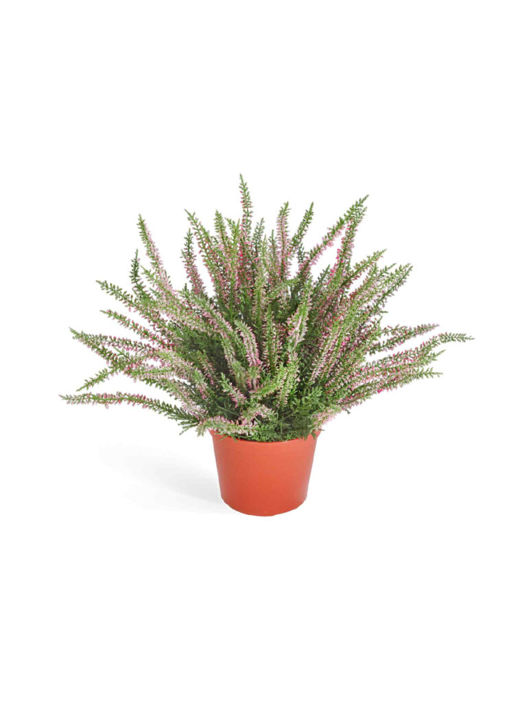 Искусственное растение Эрика (вереск) большой куст нежно-розовый