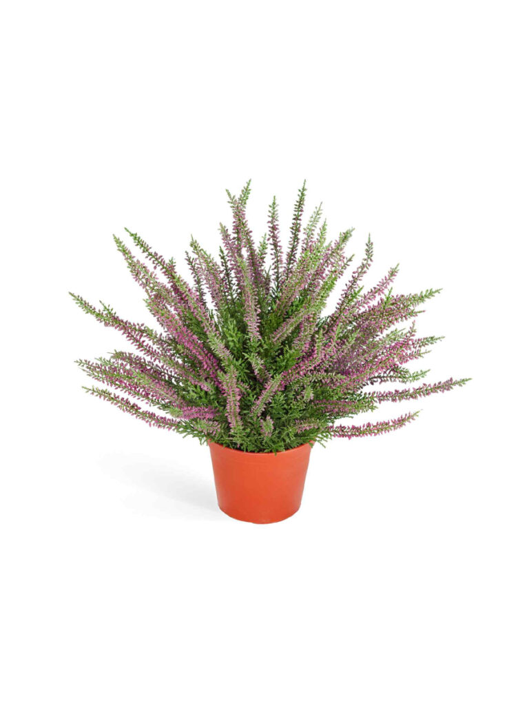 Искусственное растение Эрика (вереск) большой куст тёмно-сиреневый