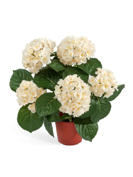 Искусственное растение Гортензия куст крем-ваниль в горшке