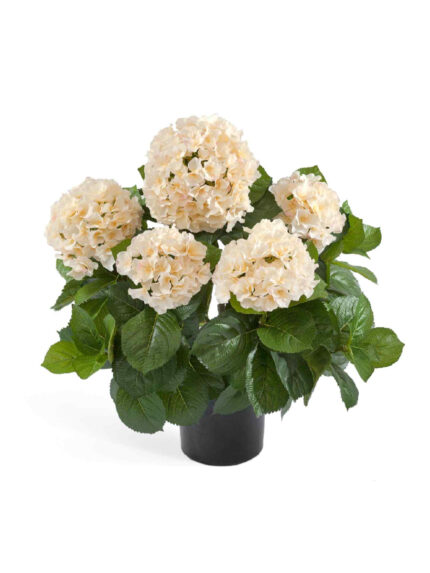 Искусственное растение Гортензия куст большой крем-ваниль в горшке