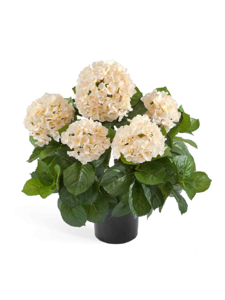 Искусственное растение Гортензия куст большой крем-ваниль в горшке