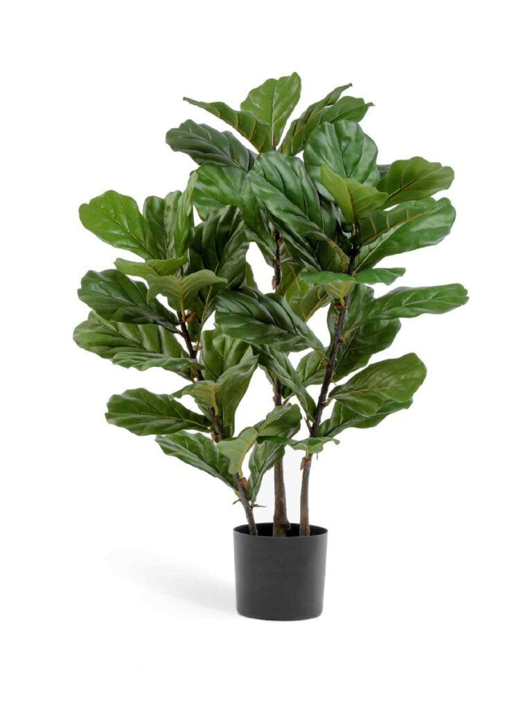 Искусственное дерево Фикус Лирата куст на стволах