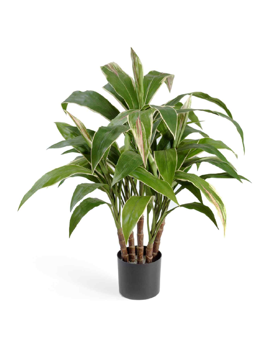 Искусственное растение Кордилина в горшке (5 стволов) Искусственное растение Кордилина в горшке (5 стволов)