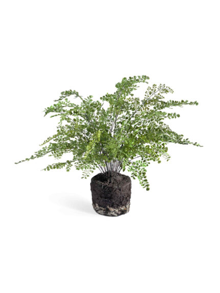 Искусственное растение Папоротник Адиантум куст в земле с корнями